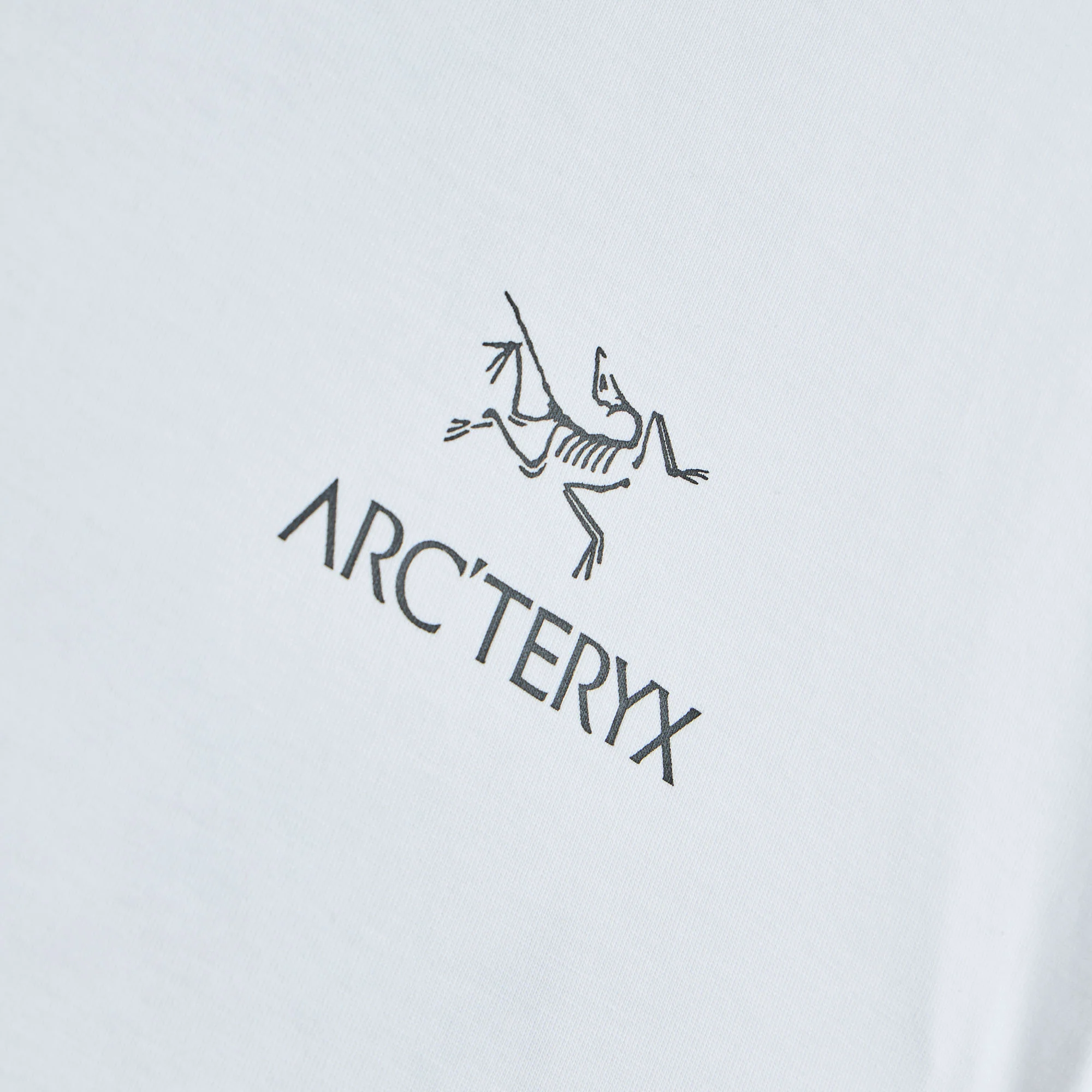 Arc'teryx Kragg SL Bird Word T-Shirt White Light / Black - Image 10