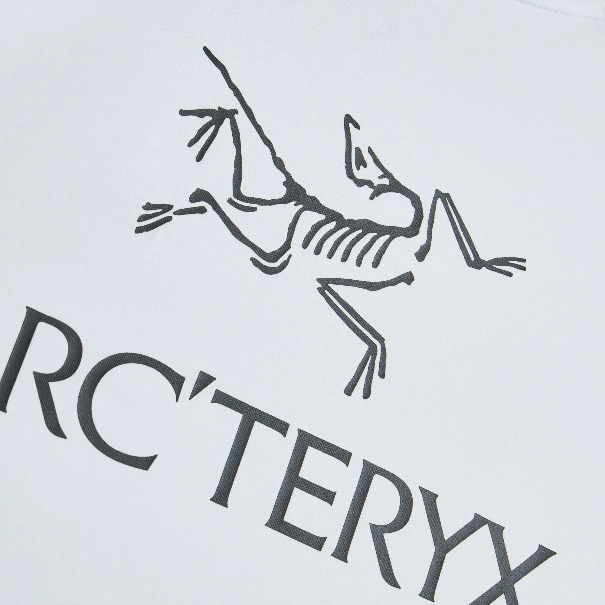 Arc'teryx Kragg SL Bird Word T-Shirt White Light / Black - Image 11