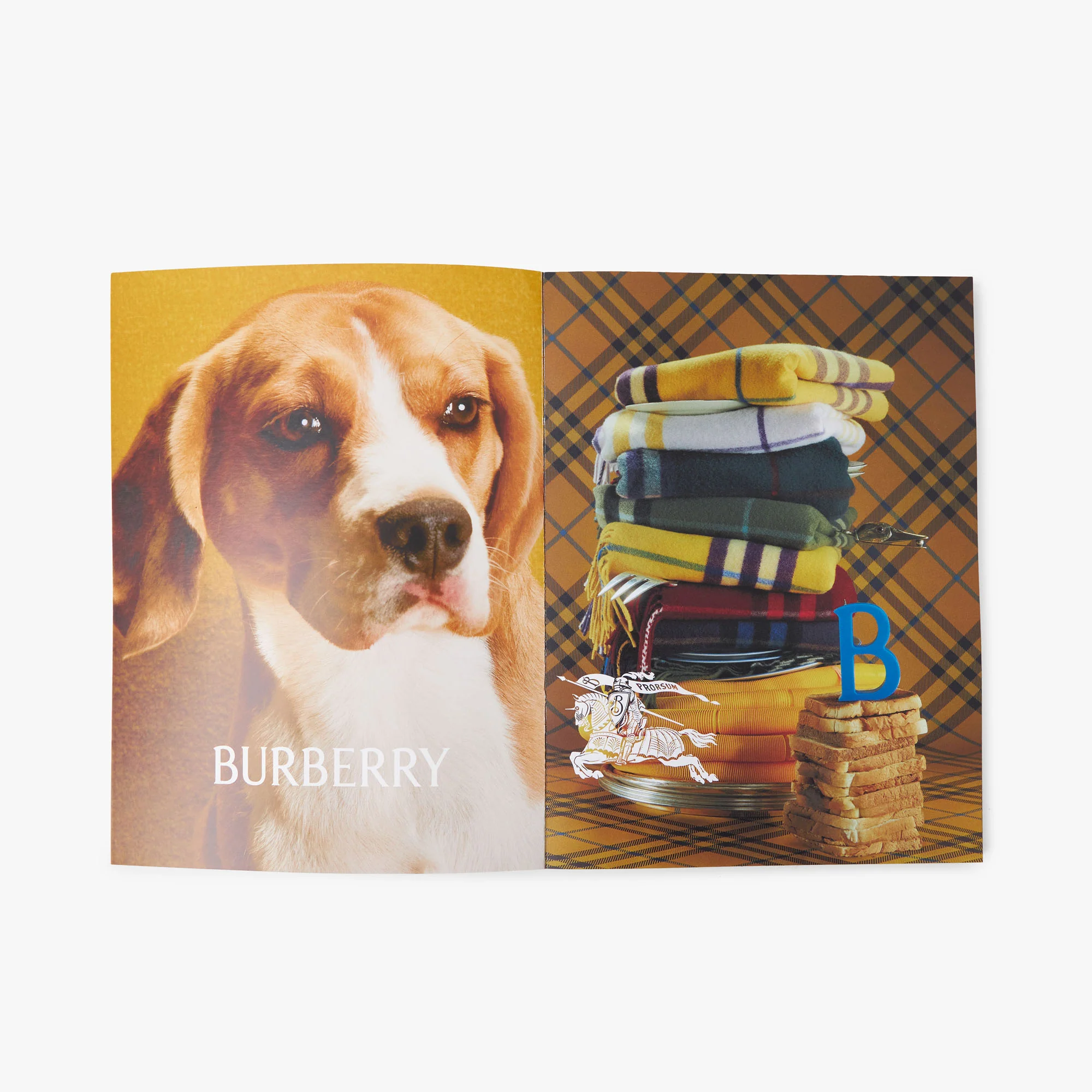 Bully Magazine Issue Two / Two Beam Cover - Image 3