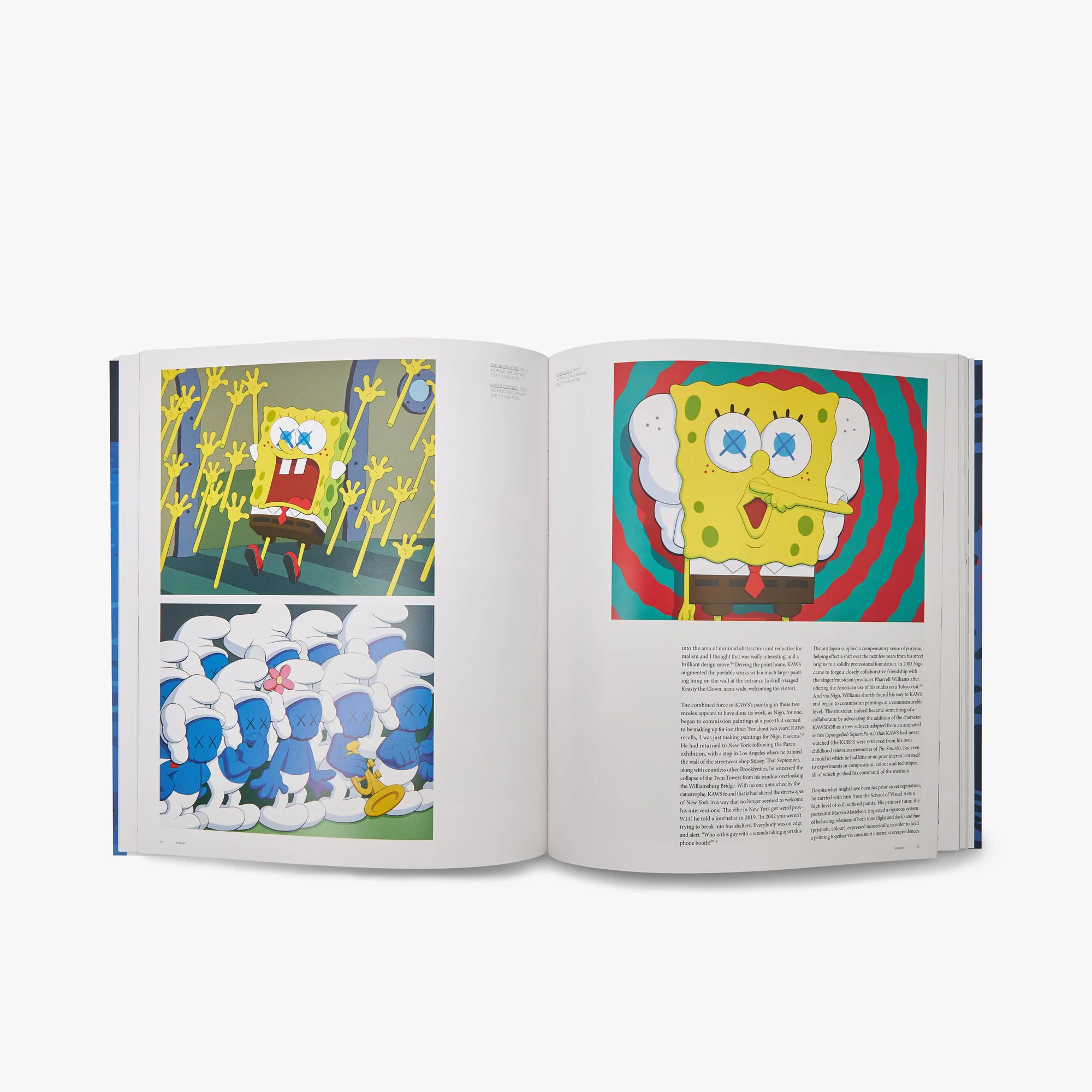 KAWS (Phaidon Contemporary Artists Series) - Image 3