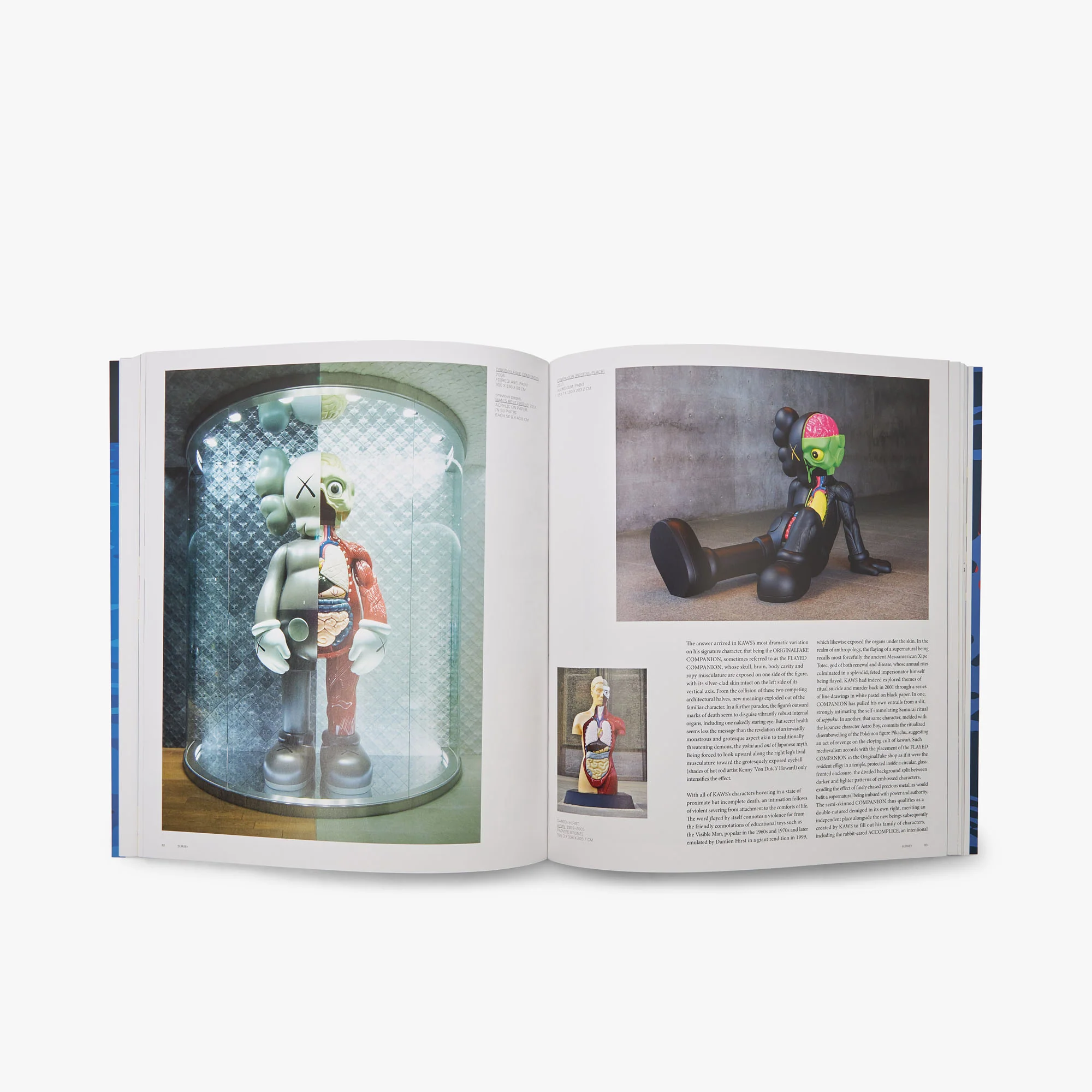 KAWS (Phaidon Contemporary Artists Series) - Image 4