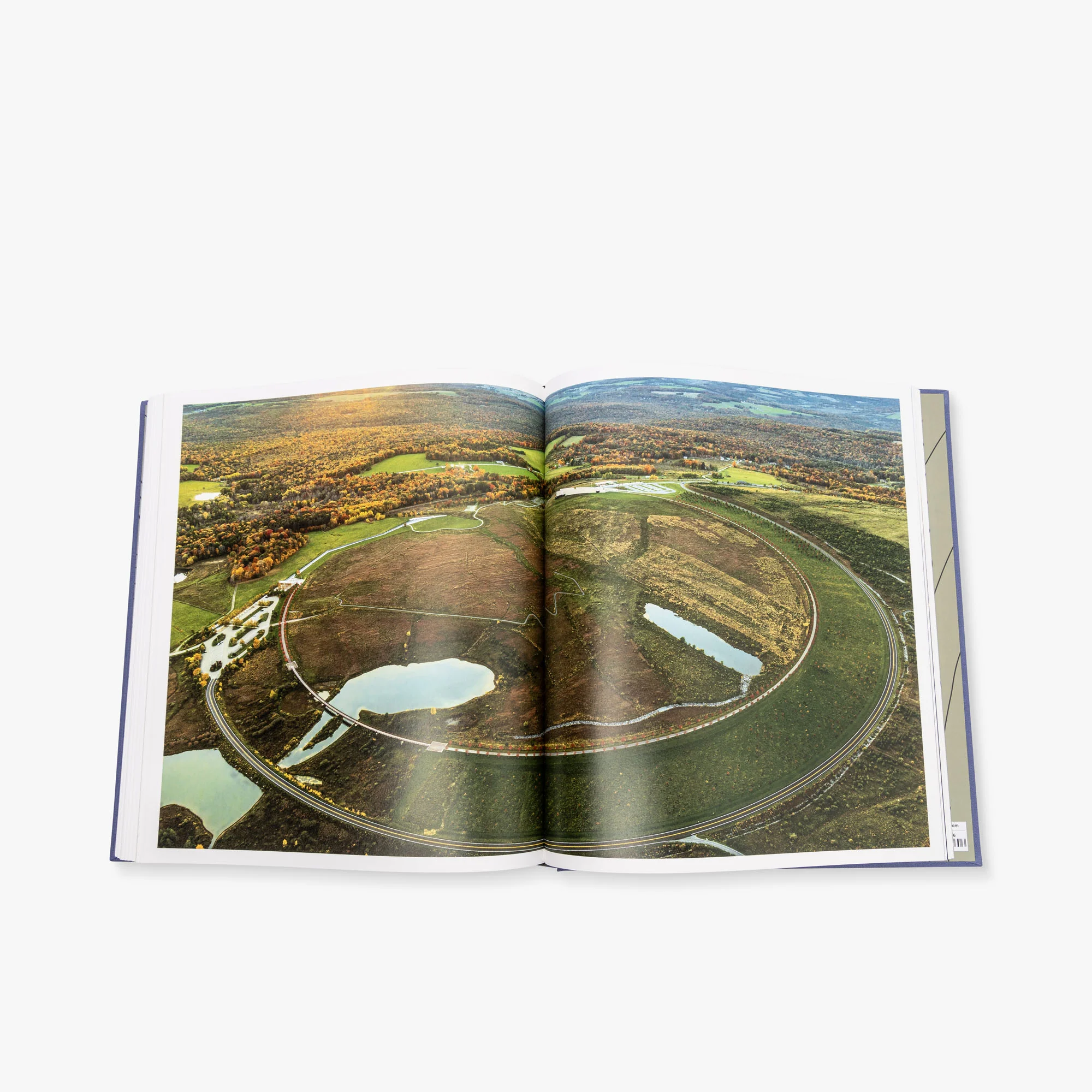 The Land Is Full - Image 2