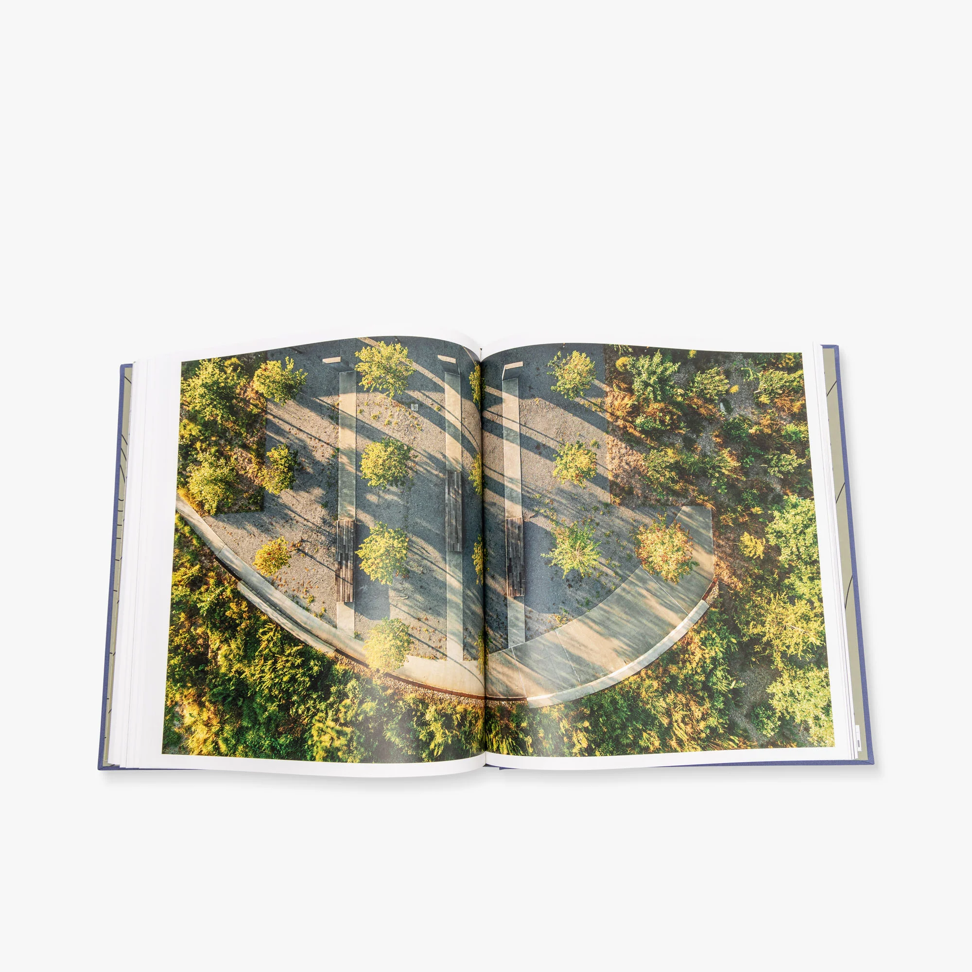 The Land Is Full - Image 3
