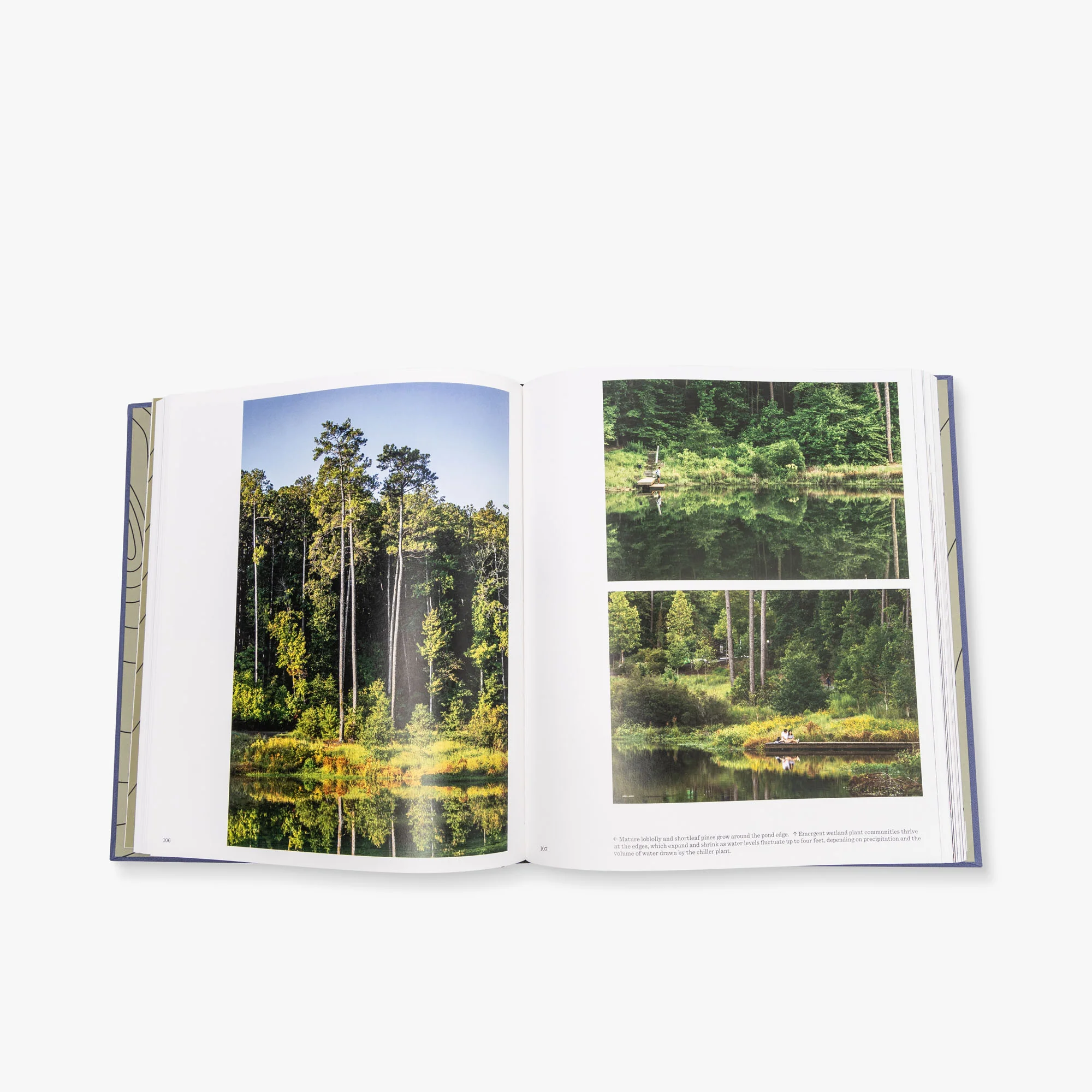 The Land Is Full - Image 5