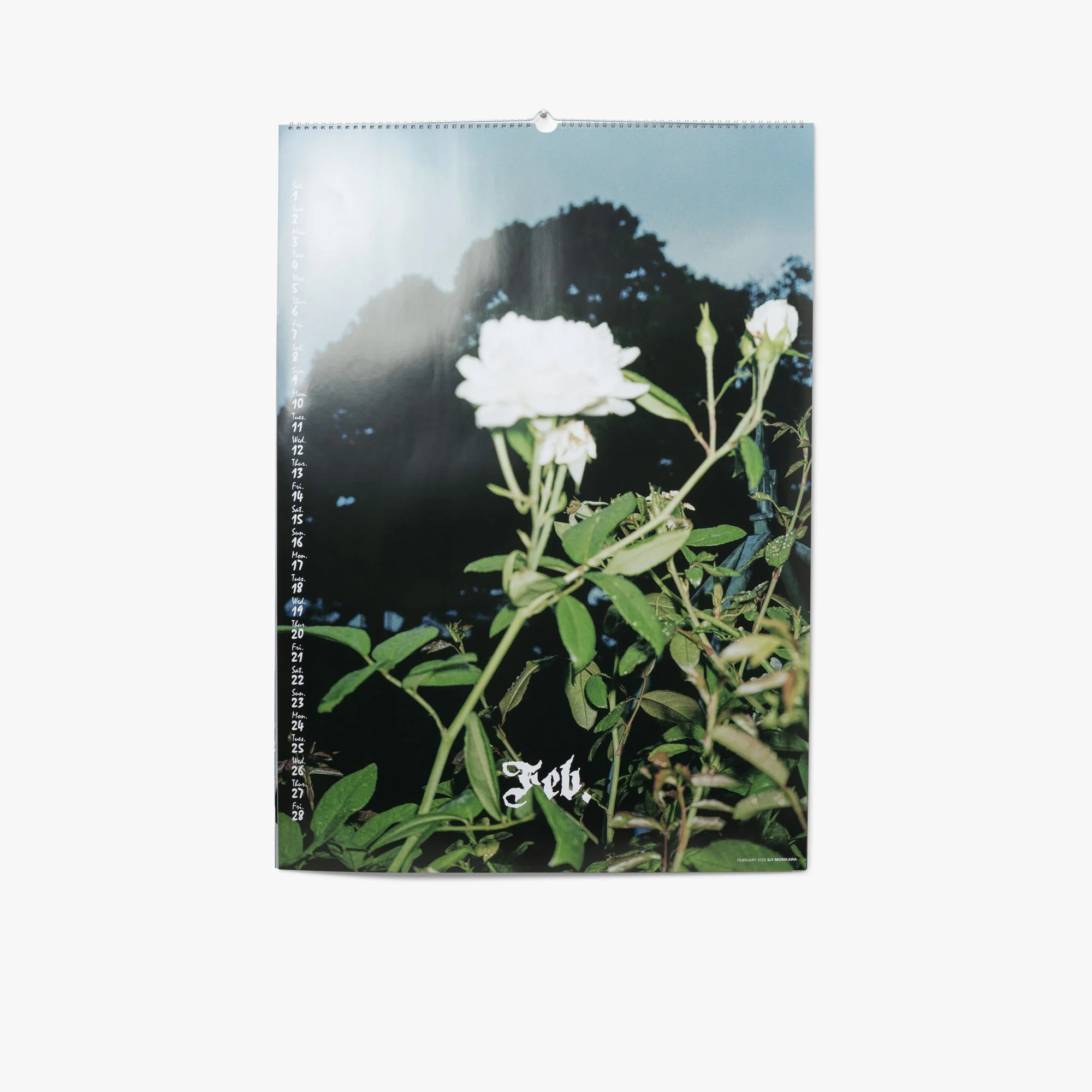 SNEEZE Magazine 2025 Calendar - Image 3